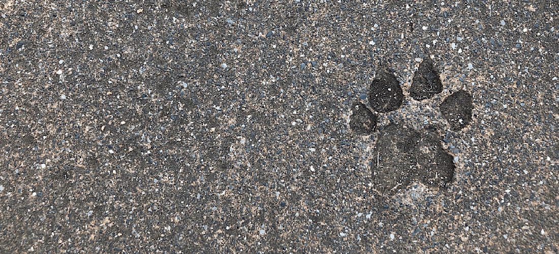 【オリジナルデザイン】ORIGINAL DESIGN